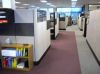 Steelcase/Herman Miller/Haworth/Knoll/Pleion Cubicles