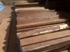 Tropical hardwood, COCOBOLO, wholesaler