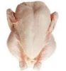 USA Halal Frozen Chicken Feet and Paws Hot Sale ++++ !!! TOP SUPPLIER !!!