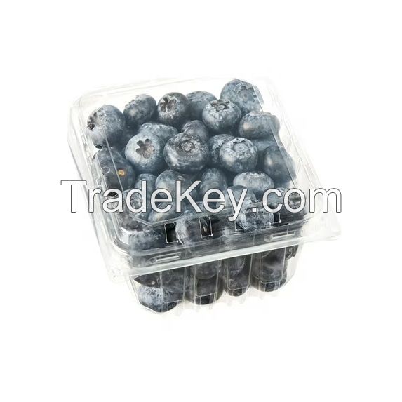 Buy Fresh Blueberries 125g pint Punnets from South Africa Certified 2025 Harvest