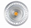 10W LED PAR30 점화 (HZ-DBP30-10W)