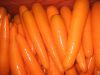 свежая морковь 2012 урожаев китайская яркая красная