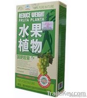 식물 Fruta Planta 체중 감소 캡슐