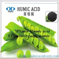 70% Humic 산 분말