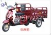 populared 125cc gasoline tricycle for adults