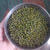 Whole Lentils Green Lentils Yellow Lentils