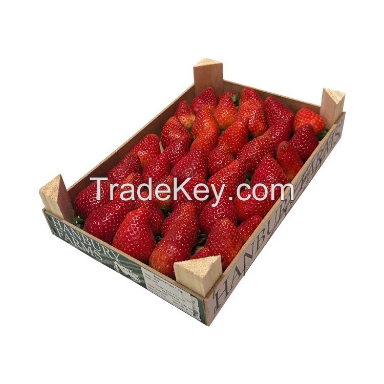 Fresh strawberries, Export strawberries, bulk fresh fruit
