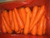 свежие 2012 подрезывают китайскую яркую красную морковь
