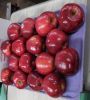 Красный цвет восточного побережья США - очень вкусные яблоки