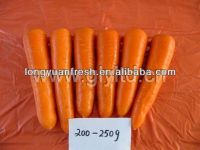 свежая сладостная морковь
