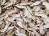 Dried Mushroom Slices 2-3mm (Delicious Organic Air Dried Shiitake) For Sale