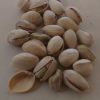 Many Fresh Delicious Large Pistache Kernels Available at Low Prices Pistachio Nuts in Bulk