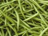 Organic Green Beans