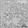 Серебряное Nanoparticles NM-SNP-7