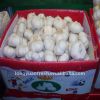 Китайская чисто белая упаковка коробки чеснока