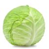 High quality Fresh Cabbage for sale