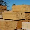 pine wood for sale