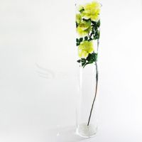 стеклянная ваза