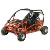 Kart 250cc는 갑니다