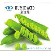 Humic 산 분말