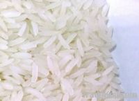 재스민 Ricejasm...