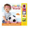 First Words. Lift-a-Flap Sound Book