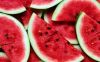 Watermelon FRESH MELONS FOR BEST WHOLESALE PRICE 