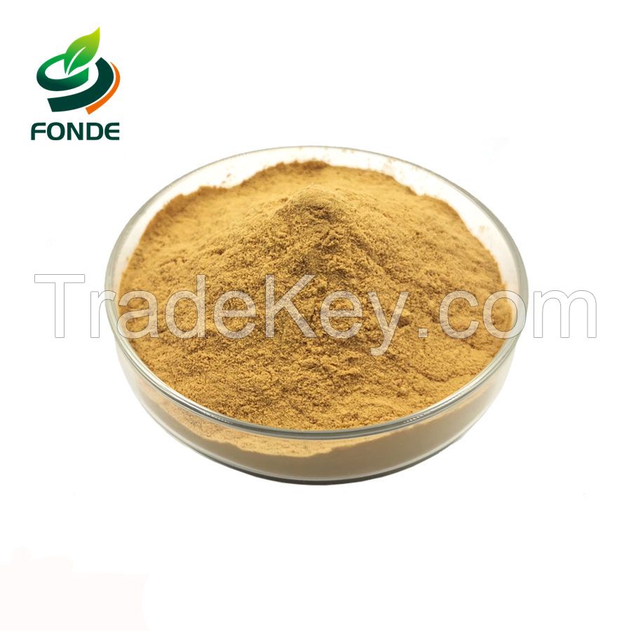 Supply White Tea Extract /Green tea extract/ Black tea extract Powder