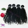 Weave волос популярного способа афро kinky курчавый индийский remy