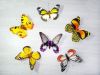 искусственние изготовление & поставщик бабочки