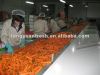 цена моркови фарфора