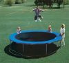 trampoline весны