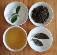 Oolong 차