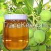 Jatropha Oil