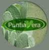 PuntiaVera® Nopal Powder (Opuntia Ficus-Indica)