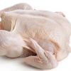 Top Selling Premium Halal Frozen Whole Chicken, Chicken Feet, Paws Frozen Chicken Paws