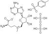 Tosylate disulphate S-Adenosyl-L-Метионина