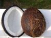 Свежие кокосы