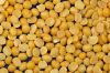 yellow split Pea / yellow split Peas / yellow split Pea / split yellow tuar dal / mutter dal / dried yellow split peas