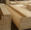Birch Oak Pine Spruce wood timber lumber