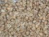  Export Robusta Coffee Beans | Robusta Coffee Bean Importer | Robusta Coffee Beans Buyer | Buy Robusta Coffee Beans | Robusta Coffee Bean Wholesaler | Robusta Coffee Bean Manufacturer | Best Robusta Coffee Bean Exporter | Low Price Robusta Coffee Beans | 
