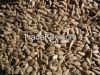 Hulled sunflower kernels - Bakery and confectionary grade