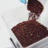 Quality Antioxidant Fermented Chocolate Cocoa Nibs