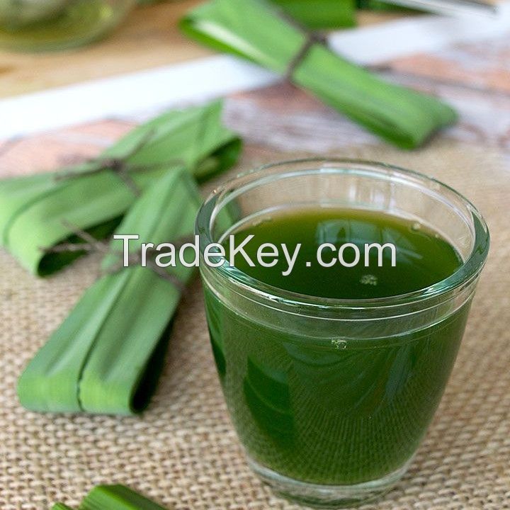 NATURAL FROZEN PANDAN JUICE / PURE LEAF EXTRACT / BULK SUPPLY FOR FOOD AND DRINK INDUSTRY