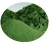 spirulina 100% чисто