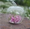 Handmade суккулентный вися стеклянный тип Яблока вазы, стеклянное украшение дома terraium глобуса