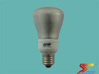 Dimmable отражает светильник