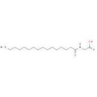 N-palmitoyl ...