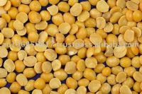 Yellow Split Pea / Yellow Split Peas / Yellow Split Pea / Split Yellow Tuar Dal / Mutter Dal / Dried Yellow Split Peas