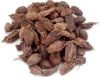 Black Cardamom Benefits For Skin, Hair & Health